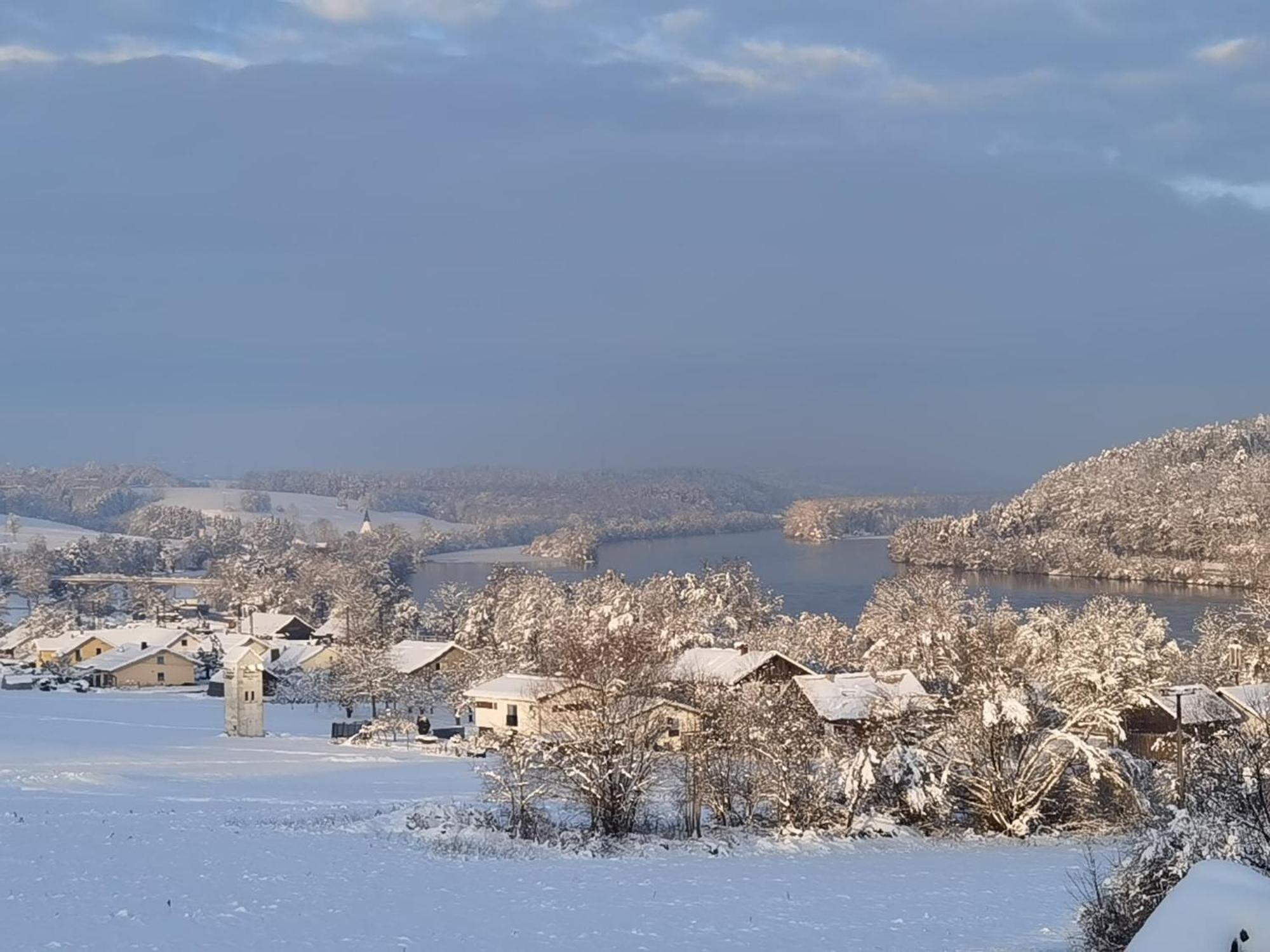 Mitterfelder Donaublick Lägenhet Vilshofen an der Donau Exteriör bild